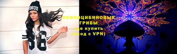 мдпв Нефтегорск