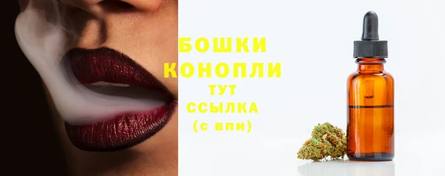 скорость Нея