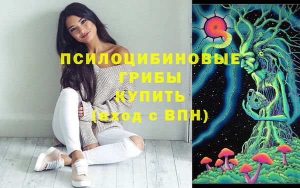 мдпв Нефтегорск