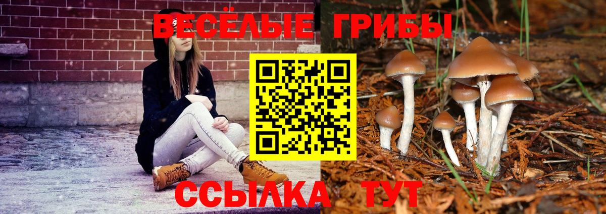 Галлюциногенные грибы ЛСД  Вход с VPN  Серов 